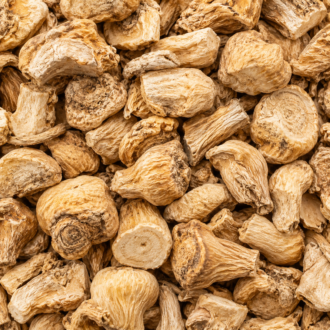Maca Root Extract